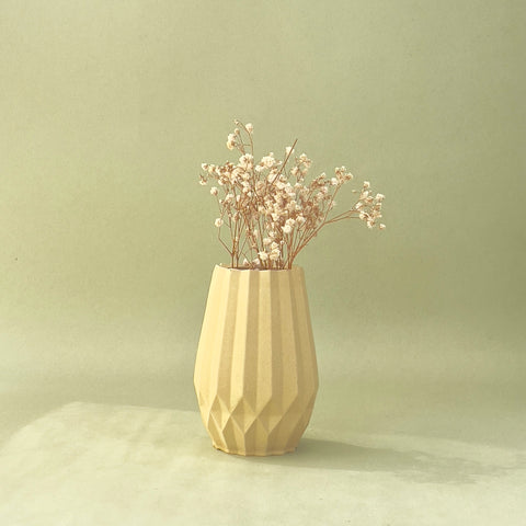 florero alejandria